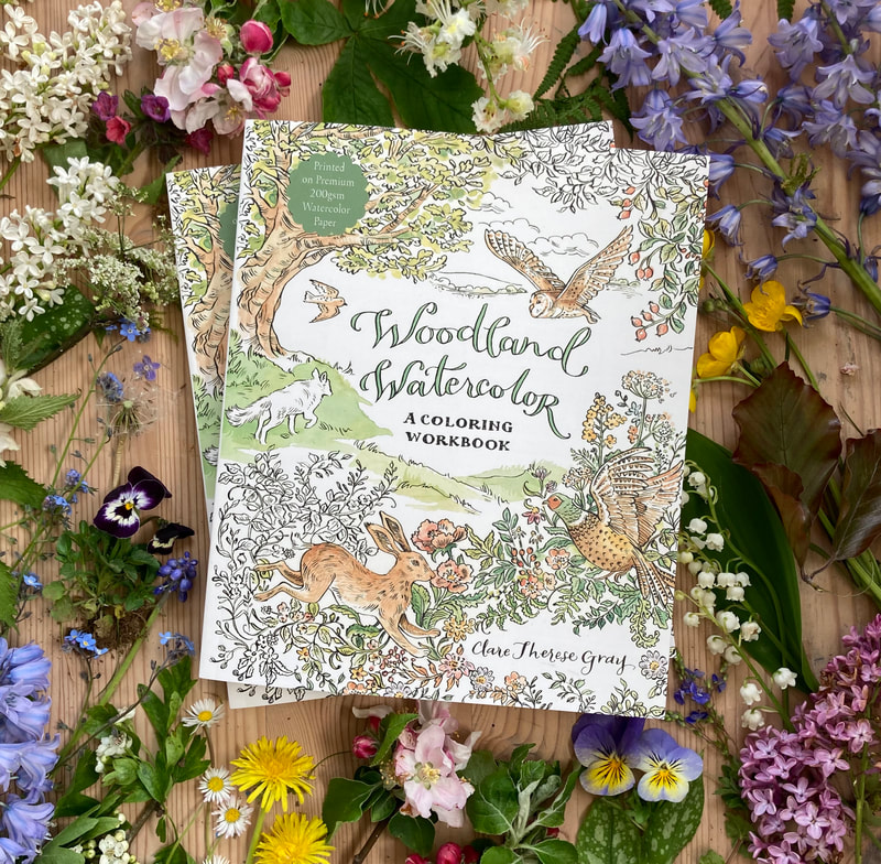 Woodland Watercolor: A Coloring Workbook by Clare Therese Gray –  nature+nurture